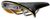 Brooks Cambium C17 Brooks Cambium C17