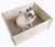 Bunny Buddelkiste 50 x 39 x 19,5 cm Bunny Buddelkiste 50 x 39 x 19,5 cm