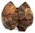 Buteo Photo Gear Beanbag 2 Buteo Photo Gear Beanbag 2