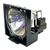 Casio Ersatzlampe YL-31 Casio Ersatzlampe YL-31