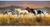 Clementoni Band of Thunder Puzzle 13200 Teile Clementoni Band of Thunder Puzzle 13200 Teile