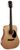 Cort AD810 Open Pore Cort AD810 Open Pore