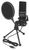 Delock USB Kondensator Mikrofon Set (66331) Delock USB Kondensator Mikrofon Set (66331)