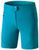 Dynafit Transalper Light Dynastretch Shorts Women Dynafit Transalper Light Dynastretch Shorts Women