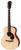 Eastman ACTG1 Eastman ACTG1
