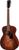 Eastman PCH1-OM-CLA Eastman PCH1-OM-CLA