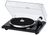 EAT B-Sharp mit 2M Blue EAT B-Sharp mit 2M Blue