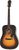 Epiphone DR-100 Epiphone DR-100