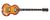 Epiphone Viola Epiphone Viola