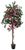 Europalms Bougainvillea rot 150 cm Europalms Bougainvillea rot 150 cm