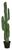 Europalms Mexikanischer Kaktus 123 cm Europalms Mexikanischer Kaktus 123 cm