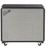 Fender Bassman 115 Neo Fender Bassman 115 Neo