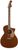 Fender Newporter Player Fender Newporter Player