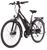 FISCHER Trekking E-Bike ETD 1822 FISCHER Trekking E-Bike ETD 1822