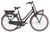 Gazelle Miss Grace C7+ HMB R7H Gazelle Miss Grace C7+ HMB R7H