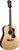 Guild D-40 Guild D-40