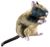 Hunter Hundespielzeug Wildlife Ratte M Hunter Hundespielzeug Wildlife Ratte M
