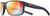 Julbo Renegade Julbo Renegade