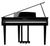 Kawai DG-30 Kawai DG-30