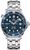 Omega Seamaster Diver 300 M Omega Seamaster Diver 300 M