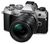 OM System OM-5 + 12-45 mm OM System OM-5 + 12-45 mm