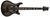 PRS Custom 24 Floyd PRS Custom 24 Floyd