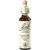 Nelsons BACHBLUETEN CHICORY TROPFEN 20 ML Nelsons BACHBLUETEN CHICORY TROPFEN 20 ML
