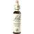 Nelsons BACHBLUETEN CLEMATIS TROPFEN 20 ML Nelsons BACHBLUETEN CLEMATIS TROPFEN 20 ML