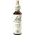 Nelsons BACHBLUETEN LARCH TROPFEN 20 ML Nelsons BACHBLUETEN LARCH TROPFEN 20 ML