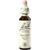 Nelsons BACHBLUETEN WALNUT TROPFEN 20 ML Nelsons BACHBLUETEN WALNUT TROPFEN 20 ML