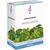Bombastus-Werke HOPFENZAPFEN TEE, 50 g Bombastus-Werke HOPFENZAPFEN TEE, 50 g