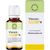 Spenglersan VISCUM ENTOXIN N TROPFEN, 100 ml Spenglersan VISCUM ENTOXIN N TROPFEN, 100 ml