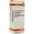 LYCOPODIUM C 6 DIL., 20 ml LYCOPODIUM C 6 DIL., 20 ml