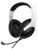 Raptor Gaming H300 Raptor Gaming H300