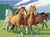 Ravensburger Wildpferde Ravensburger Wildpferde