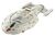 Revell U.S.S. Voyager (04992) Revell U.S.S. Voyager (04992)