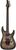 Schecter C-6 Pro FR Schecter C-6 Pro FR