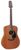 Takamine GD11M Takamine GD11M