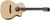 Taylor 214ce-N Taylor 214ce-N
