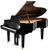 Yamaha D C5X Enspire Pro Yamaha D C5X Enspire Pro
