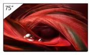 Sony FWD-75X95J