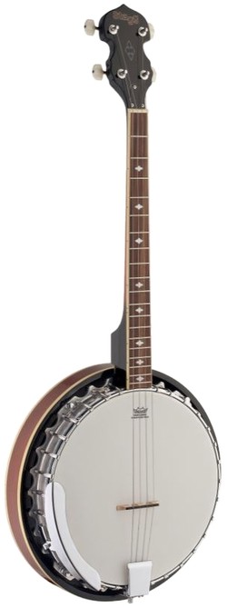 Stagg BJM 30 DL 4DL