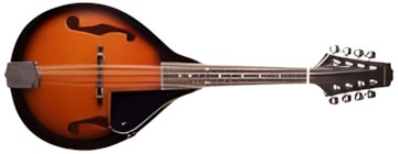 Stagg M20