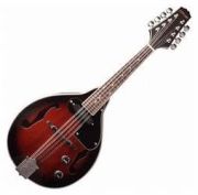 Stagg M50 E