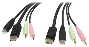 StarTech.com DP4N1USB6