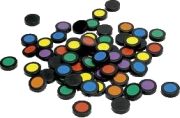Steffen Spiele Colomo