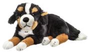Steiff