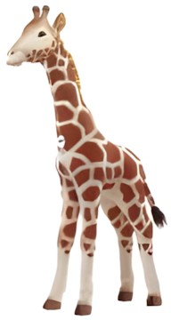 Steiff