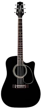 Takamine