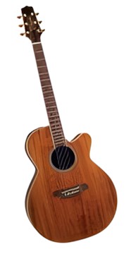 Takamine EF508KC